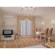 Modern baroque Interior project  - 
